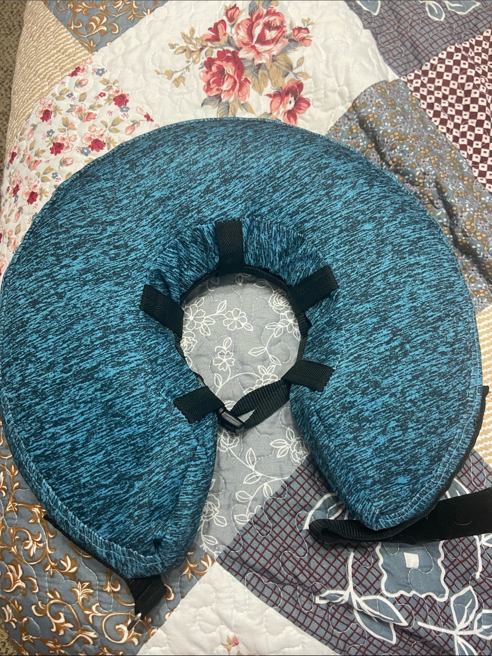 Small dog surgical collar